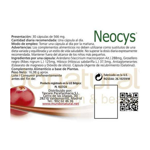 NEOCYS (30 Cpsulas)