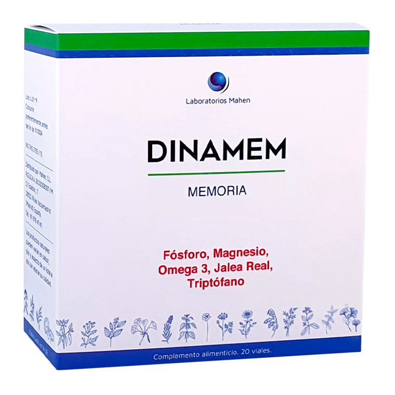 DINAMEM - MEMORIA (20 Viales)